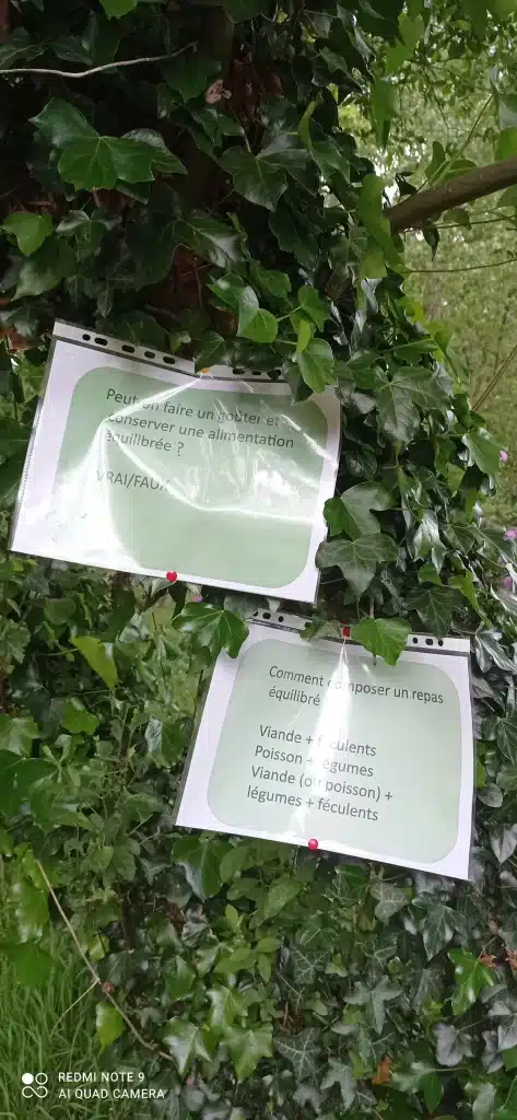 atelier nutrition lors de la balade gourmande senior ploeuc-l'hermitage cias de saint-brieuc