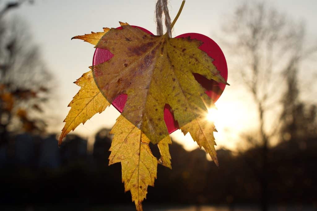 coeur automne ciel lumière nutrition bien-être dieteticienne saint-brieuc