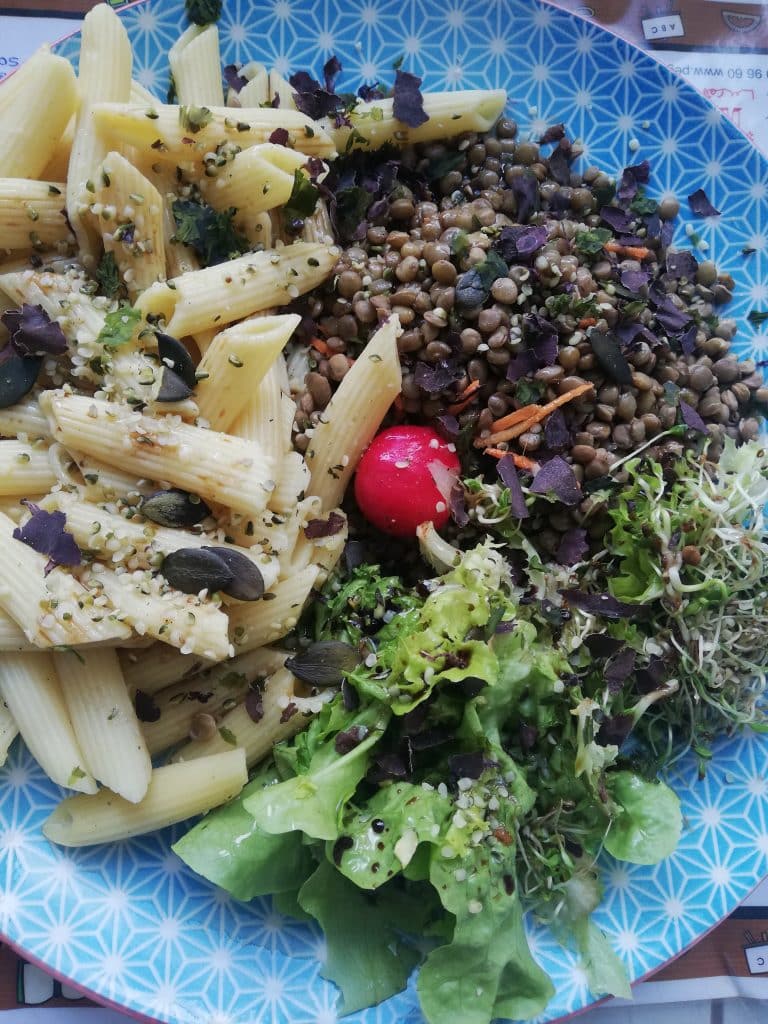 Une assiette végétarienne qui contient des lentilles, de la salade verte, des radis, des pâtes, des graines germées, des graines de courges et de sésame