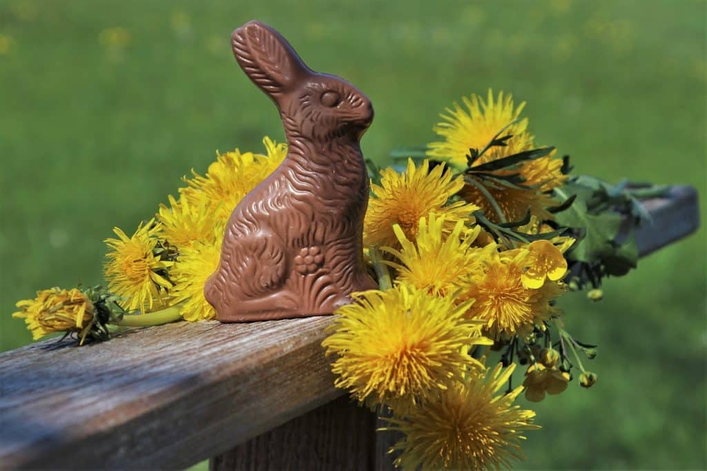 lapin de Pâques en chocolat