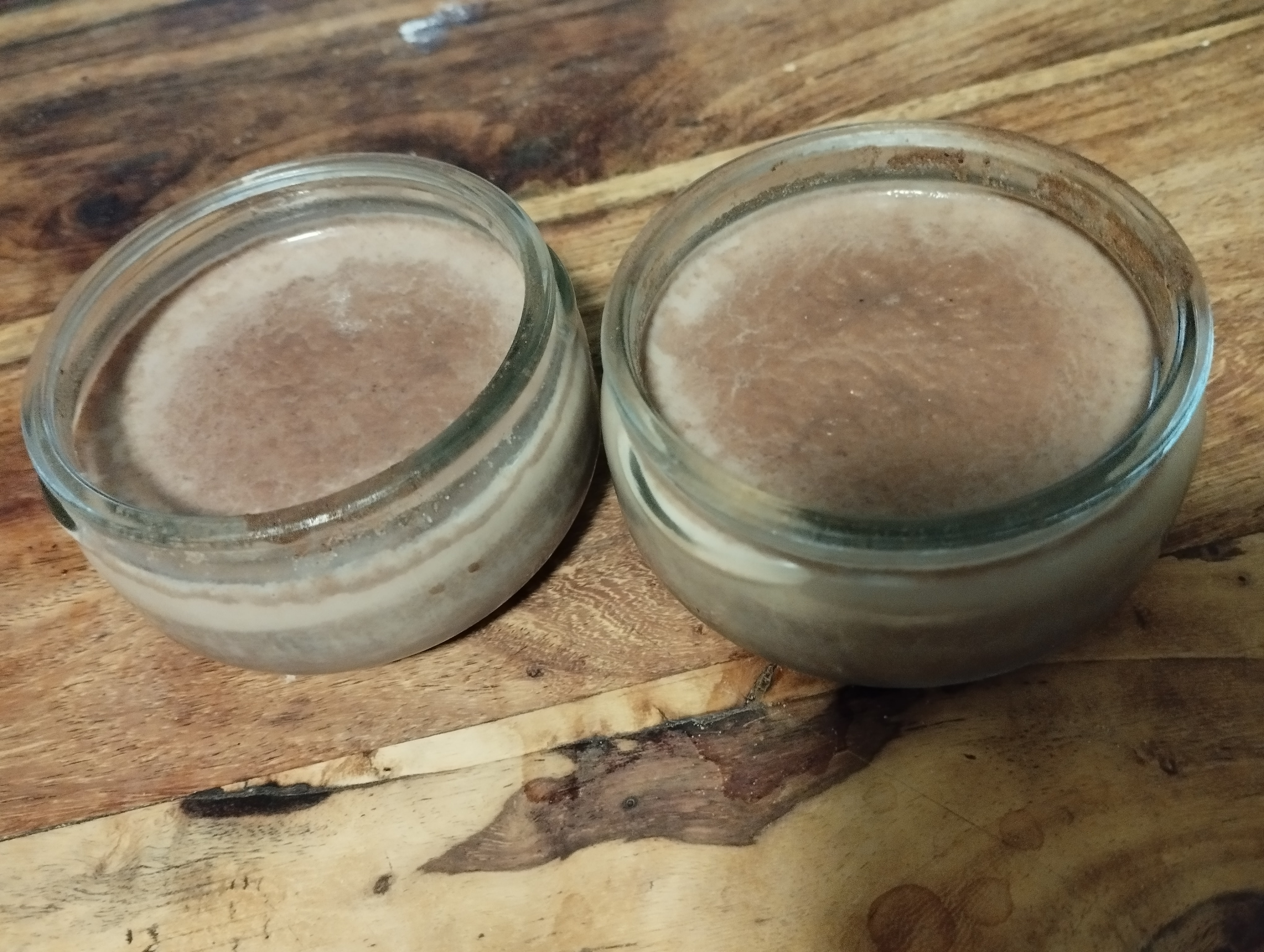 photo des crèmes dessert au chocolat