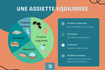 dessin d'une assiette équilibrée