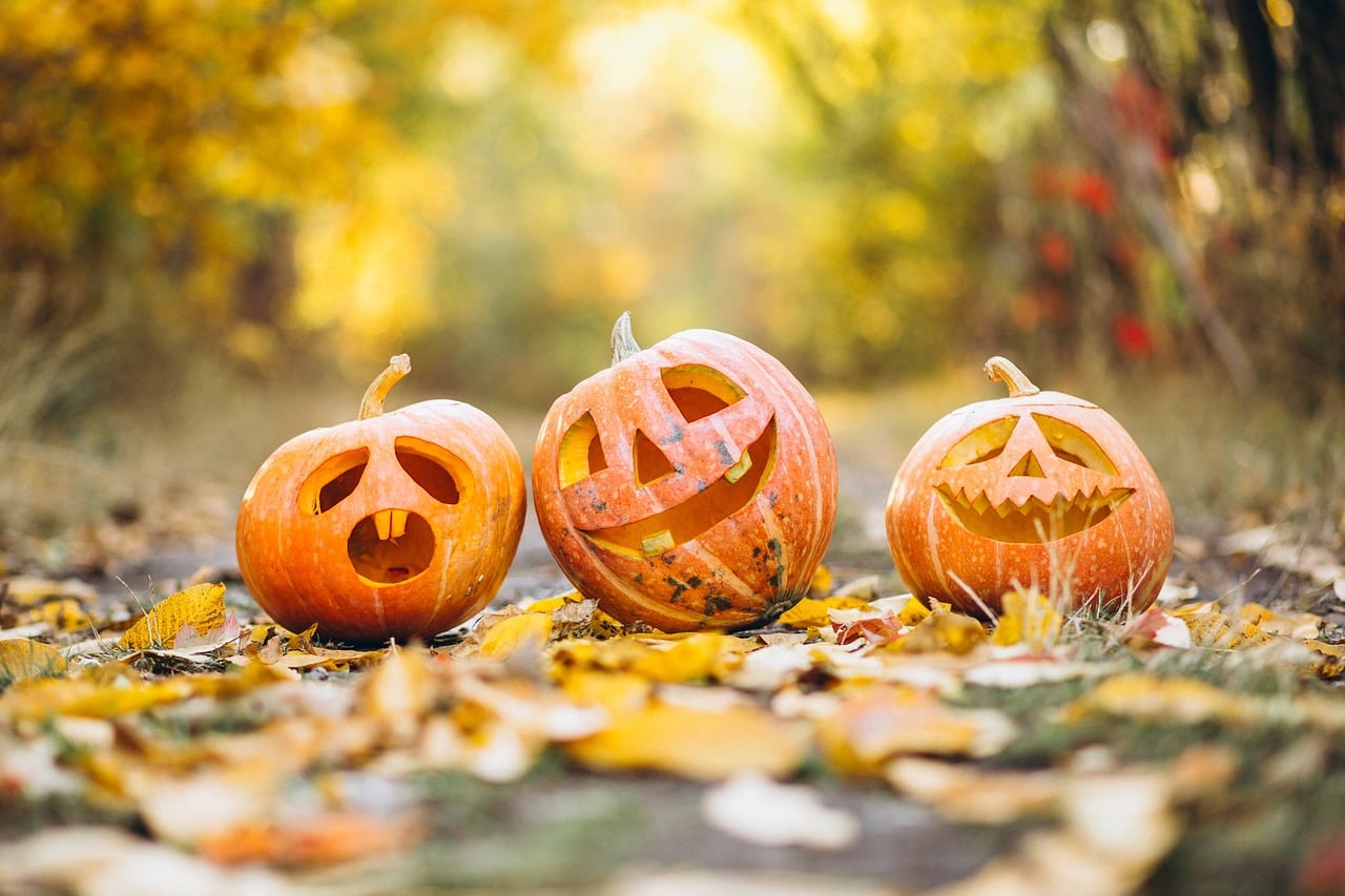 Des citrouilles d'Halloween sont posées sur le sol avec des feuilles d'automne